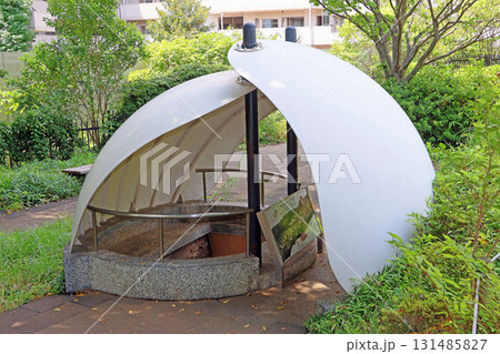大森貝塚遺跡庭園(品川) 大森貝塚遺跡庭園(品川) 131485827