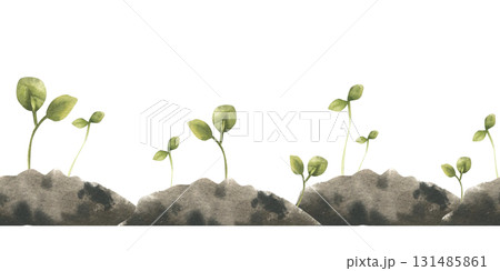 Eco friendly watercolor seamless border with green sprouts in black soil illustration. Hand drawn spring seeding clipart, gardening and planting banner for eco, vegan food packing, biology, nature 131485861