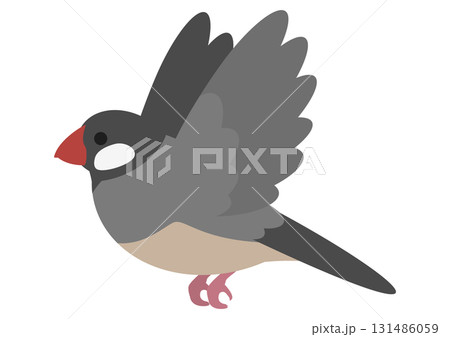飛んでいるかわいい文鳥のベクターイラスト素材 飛んでいるかわいい文鳥のベクターイラスト素材 131486059