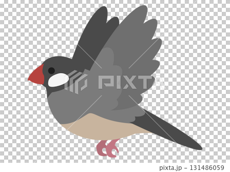 Vector illustration of a cute flying Java sparrow 131486059
