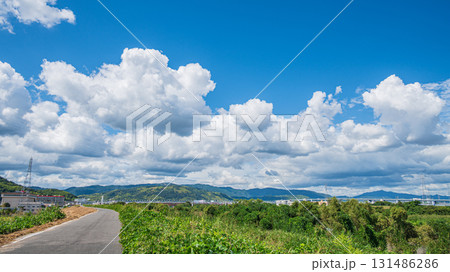 京奈和自転車道上から見上げた秋の空 京都府八幡市 京奈和自転車道上から見上げた秋の空 京都府八幡市 131486286