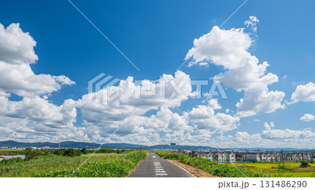 京奈和自転車道から見上げた秋の空　京都府八幡市 131486290