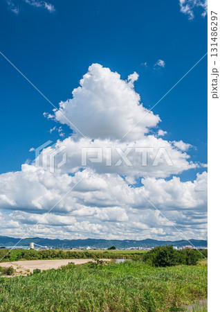 秋の空に浮かぶ雲 京都府久世郡久御山町 秋の空に浮かぶ雲 京都府久世郡久御山町 131486297
