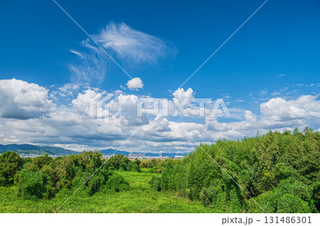 秋の木津川河川敷風景　京都府八幡市 131486301