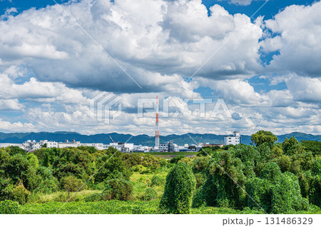 秋の空に浮かぶ雲　京都府久世郡久御山町 131486329