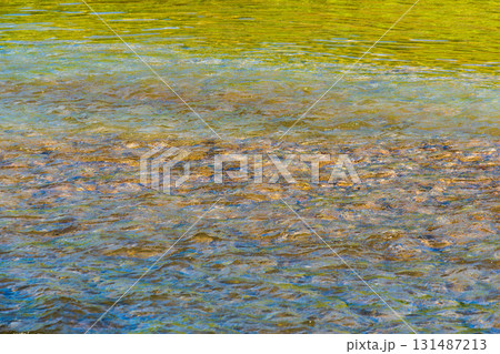 夏の川 川の流れ水面の表情19 夏の川 川の流れ水面の表情19 131487213