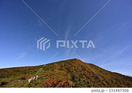 薬師岳南面の紅葉 薬師岳南面の紅葉 131487308