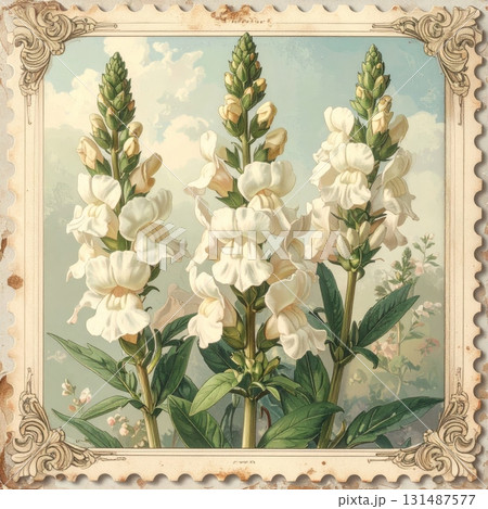 Vintage postage stamp featuring snapdragon flowers 131487577