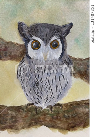 水彩で描いたミミズク 131487851