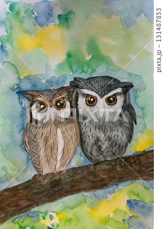 水彩で描いた寄り添うミミズク 131487853