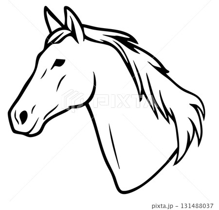 リアルな馬の顔の線画ベクターイラスト素材 リアルな馬の顔の線画ベクターイラスト素材 131488037