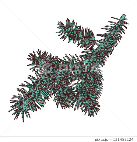 Hand drawn blue fir branch. Christmas design element. Vector illustration. 131488124