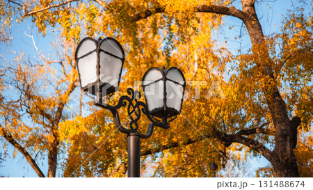 Golden Hour Elegance: Vintage Streetlight Amid Autumn Leaves 131488674