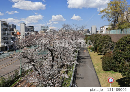 東京都荒川区の荒川自然公園の風景 131489003