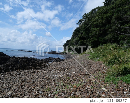 佐渡　小木城山公園 131489277