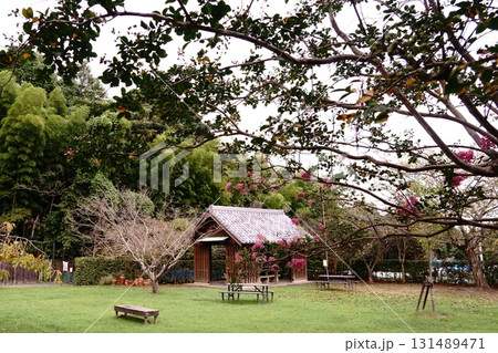 癒やしの東屋 癒やしの東屋 131489471
