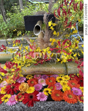 花の癒し 131489969