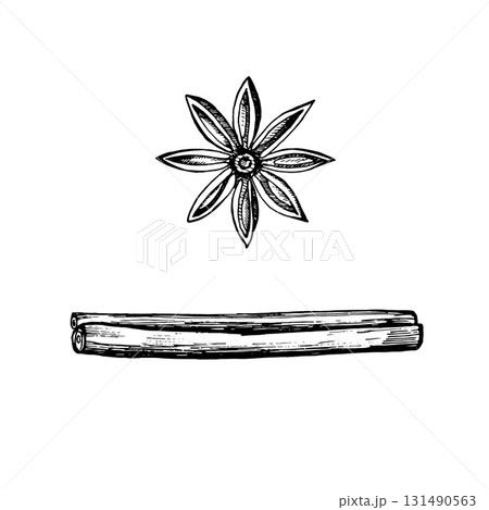 Vector hand drawn illustration of cinnamon stick and star anise. Detailed vintage sketch of aromatic spices used in cooking, baking, mulled wine, tea, Ayurveda, herbal medicine and healthy food 131490563