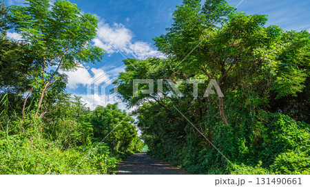 淀川河川敷の道 淀川サイクリングロード 大阪府枚方市 淀川河川敷の道 淀川サイクリングロード 大阪府枚方市 131490661