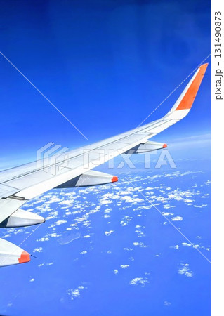 飛行機の翼 飛行機の翼 131490873