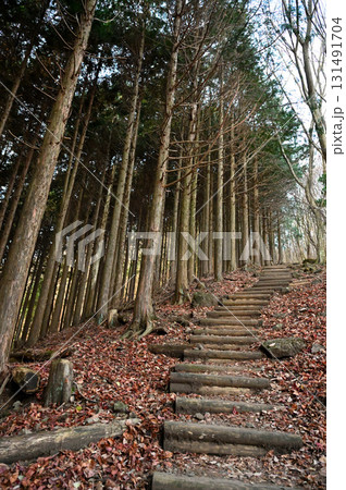 天子山地の長者ヶ岳 東海自然歩道の整備された登山道 天子山地の長者ヶ岳 東海自然歩道の整備された登山道 131491704