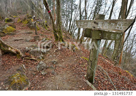 天子山地の長者ヶ岳　東海自然歩道自然　上佐野分岐 131491737
