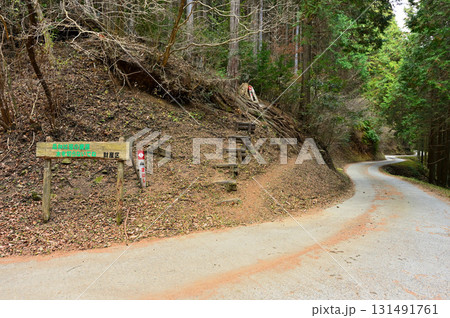 天子山地　天子ヶ岳の登山口 131491761