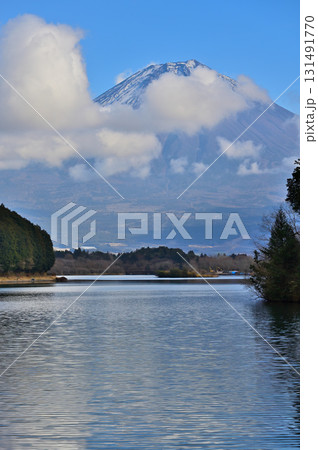 静岡県富士宮市　田貫湖畔より望む冬の富士山 131491770