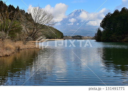静岡県富士宮市　田貫湖畔より望む冬の富士山 131491771