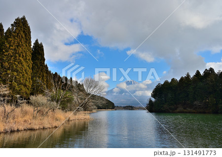 静岡県富士宮市　田貫湖畔より望む冬の富士山 131491773