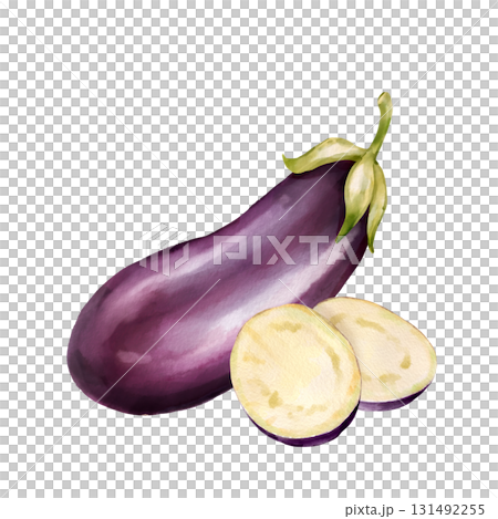 Hand-drawn illustration of single dark purple ripe eggplant with green leaves and small yellow-green flowers Hand-drawn illustration of single dark purple ripe eggplant with green leaves and small yellow-green flowers 131492255