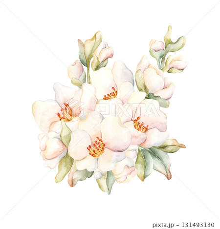 Little White Flowers buds leaves Peach Apple Blossom Blooming. Watercolor hand drawn floral illustration isolated on white background for home textile fresh fabric cosmetic package porcelain crockery Little White Flowers buds leaves Peach Apple Blossom Blooming. Watercolor hand drawn floral illustration isolated on white background for home textile fresh fabric cosmetic package porcelain crockery 131493130
