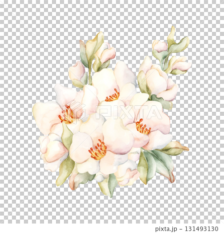 Little White Flowers buds leaves Peach Apple Blossom Blooming. Watercolor hand drawn floral illustration isolated on white background for home textile fresh fabric cosmetic package porcelain crockery Little White Flowers buds leaves Peach Apple Blossom Blooming. Watercolor hand drawn floral illustration isolated on white background for home textile fresh fabric cosmetic package porcelain crockery 131493130