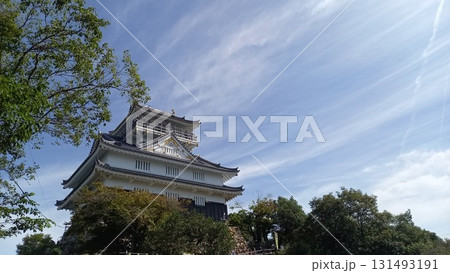 岐阜城 天守閣 岐阜城 天守閣 131493191