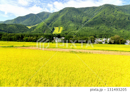 長野県白馬村の風景／白馬さのさかスキー場方面を望む(長野県白馬村)【2025.9】 131493205