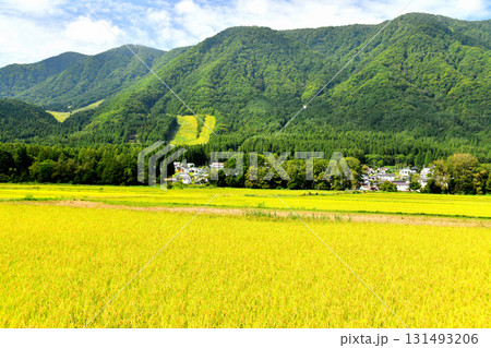 長野県白馬村の風景/白馬さのさかスキー場方面を望む(長野県白馬村)【2025.9】 長野県白馬村の風景/白馬さのさかスキー場方面を望む(長野県白馬村)【2025.9】 131493206