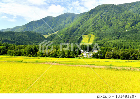 長野県白馬村の風景/白馬さのさかスキー場方面を望む(長野県白馬村)【2025.9】 長野県白馬村の風景/白馬さのさかスキー場方面を望む(長野県白馬村)【2025.9】 131493207