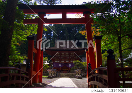 厳かで威厳ある禊橋、鳥居から見る境内 131493624