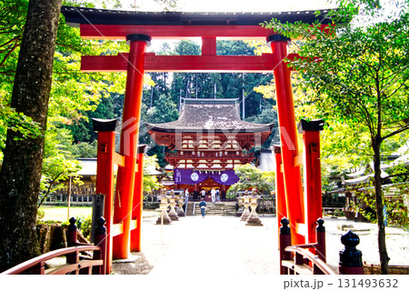 丹生都比売神社の中鳥居から桜門を見る 丹生都比売神社の中鳥居から桜門を見る 131493632