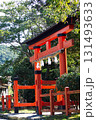 木々の緑に映える朱色の鳥居 131493633