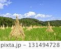 稲刈り後の稲藁の再利用　藁ぼっち 131494728
