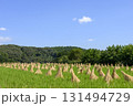 稲刈り後の稲藁の再利用　藁ぼっち 131494729