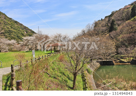 北九州市小倉南区にある自然豊かな高蔵山森林公園 131494843