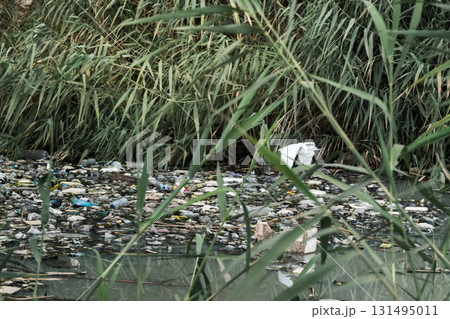 A polluted lake filled with garbage and debris. Litter floats on the water's surface, surrounded by overgrown vegetation and dirt banks. A polluted lake filled with garbage and debris. Litter floats on the water's surface, surrounded by overgrown vegetation and dirt banks. 131495011