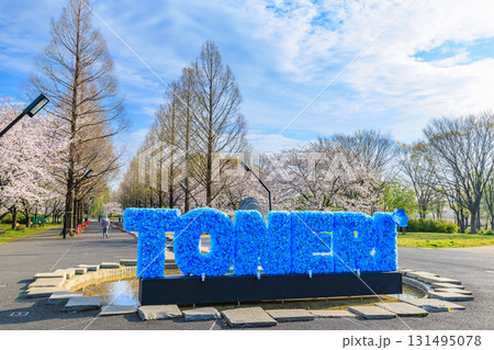 東京都 足立区 舎人公園 噴水広場と満開の桜 東京都 足立区 舎人公園 噴水広場と満開の桜 131495078