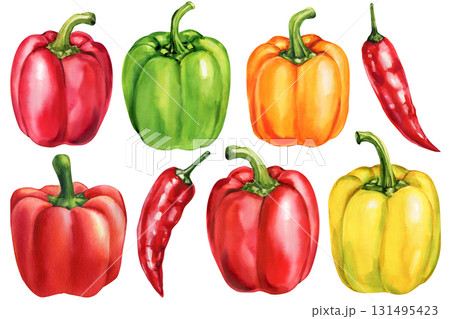 Watercolor peppers set red green yellow orange bell peppers with chili illustration organic fresh vegetables food art isolated Watercolor peppers set red green yellow orange bell peppers with chili illustration organic fresh vegetables food art isolated 131495423