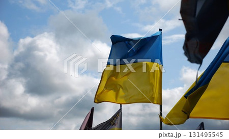 View on blue-yellow flags at countless graves of ukrainian soldiers alley of glory in Kharkiv. This site commemorates heroes and maintains the memory of wartime events in Ukraine. Slow moiton 131495545