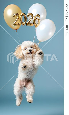2026年の新年をジャンプで祝うトイプードルの年賀状イメージ 131496022