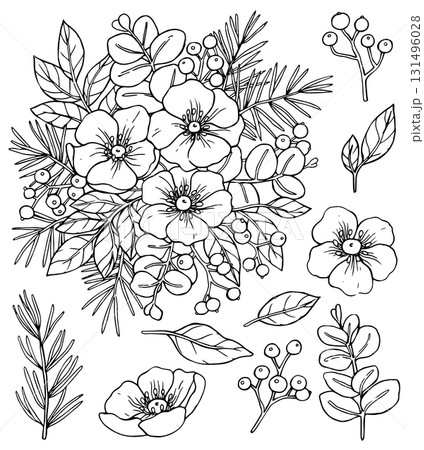 A Christmas set of flowers and fir branches. Vector illustration in sketch style. Coloring page. 131496028