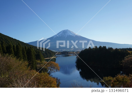 田貫湖から望む富士山 131496071